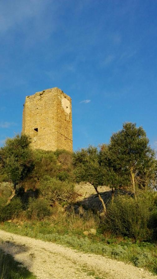 Cala Sardinia Apartment Viddalba Bagian luar foto